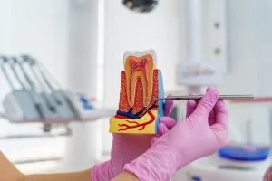 resekcja zęba i resekcja korzenia kiedy przeprowadzać i jak przebiega